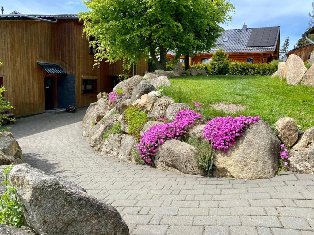 Naturstammhaus und Appartements Zum Brockenbaecker Tanne Exterior foto