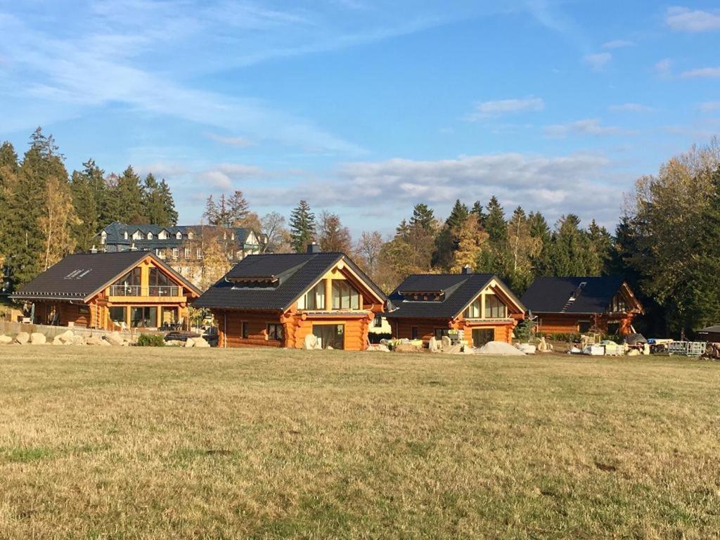 Naturstammhaus und Appartements Zum Brockenbaecker Tanne Exterior foto